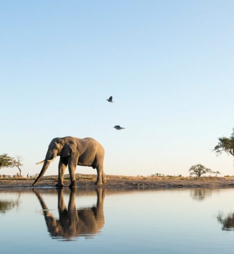 Diving in Sri Lanka