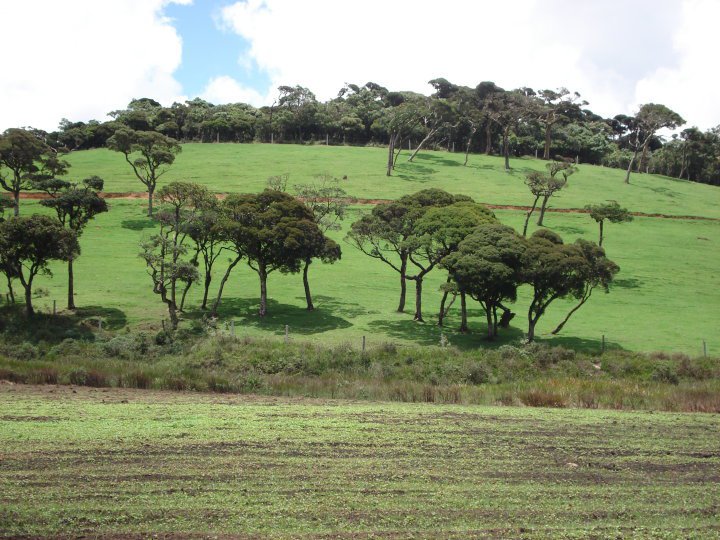 Nuwara Eliya